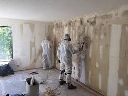 Best Post-Construction Mold Inspection  in Queens, NY